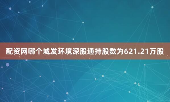 配资网哪个城发环境深股通持股数为621.21万股